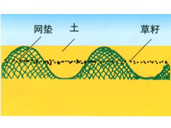 三維土工網(wǎng)墊